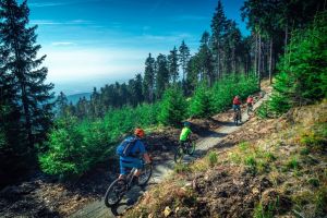 Guide to Czech trail centers and bike parks