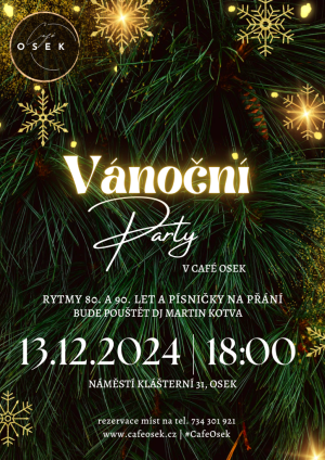 VÁNOČNÍ PÁRTY 13. 12. 2024