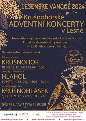 KRUŠNOHORSKÉ ADVENTNÍ KONCERTY, 8. – 21. 12. 2024